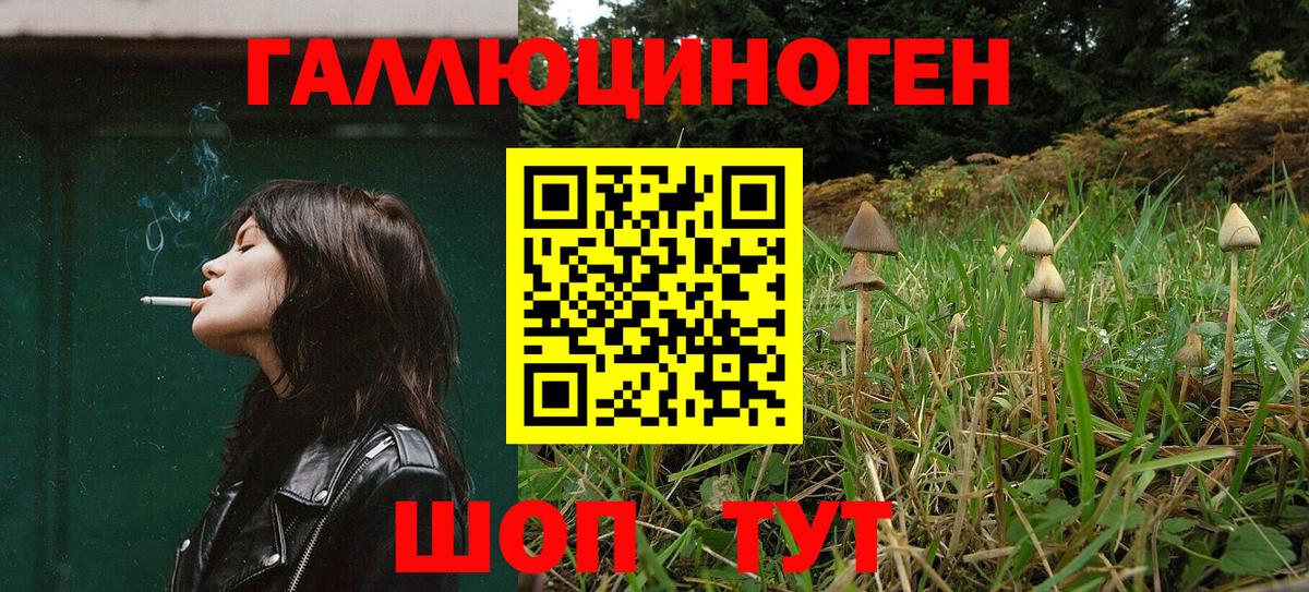 Каменск-Уральский  Псилоцибиновые грибы мухоморы  Вход с VPN 