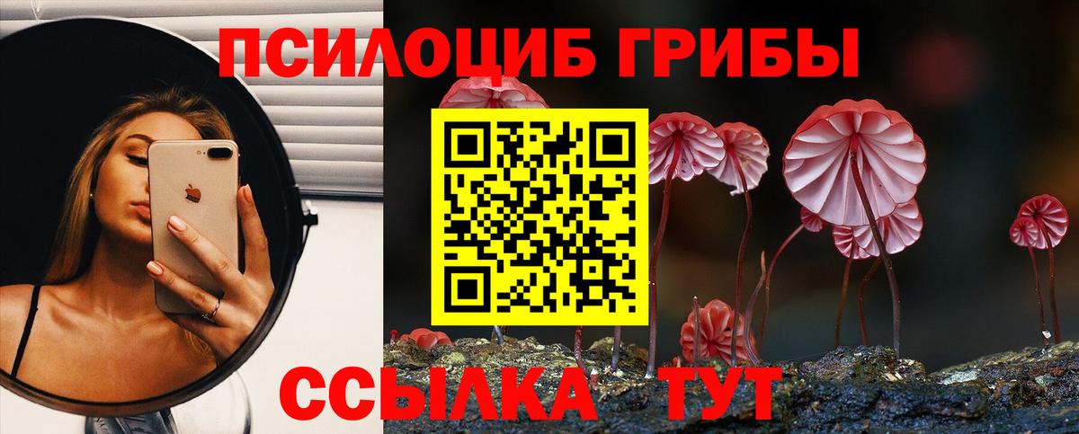 Галлюциногенные грибы Magic Shrooms Каменск-Уральский